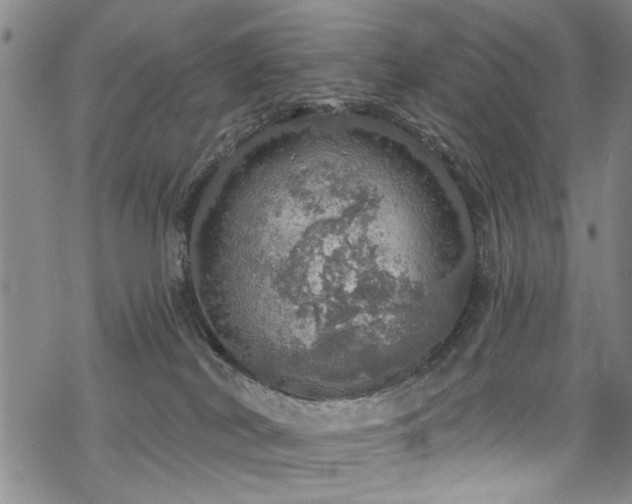 X0000068840038200605051313