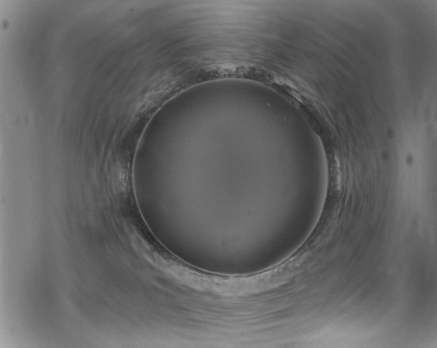 X0000068840039200605051313