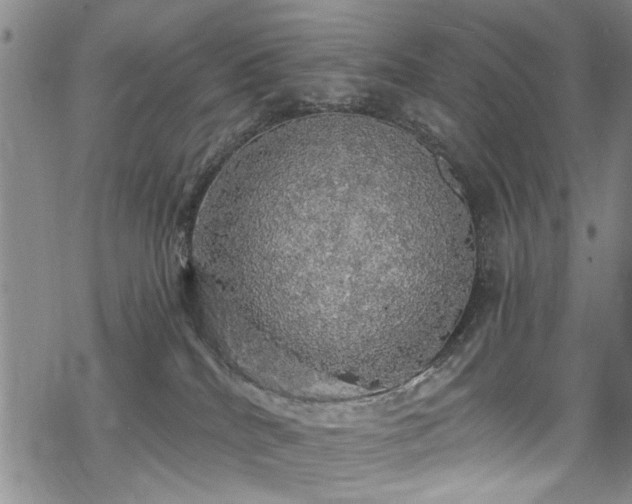 X0000068840040200605051313