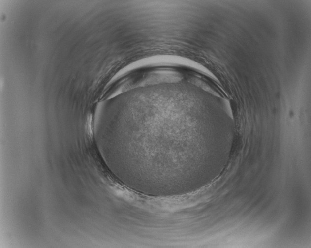 X0000068840041200605051313