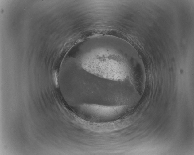 X0000068840042200605051313