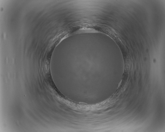 X0000068840043200605051313