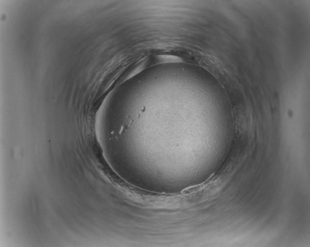 X0000068840044200605051313