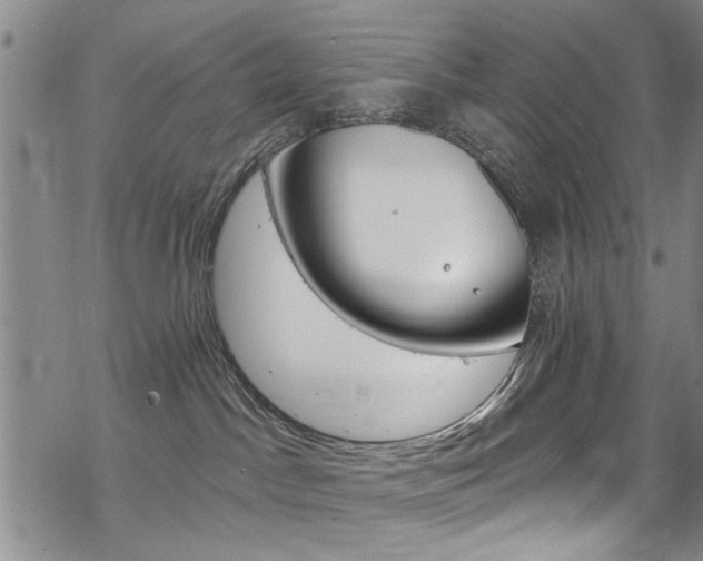 X0000068840045200605051313