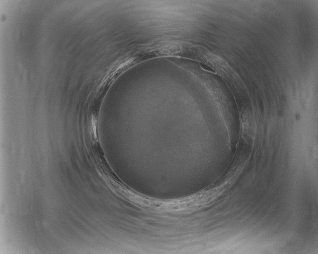 X0000068840046200605051313