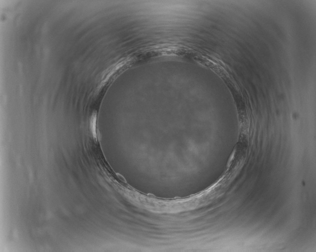 X0000068840047200605051313