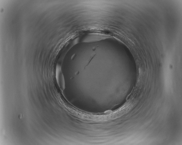 X0000068840048200605051313