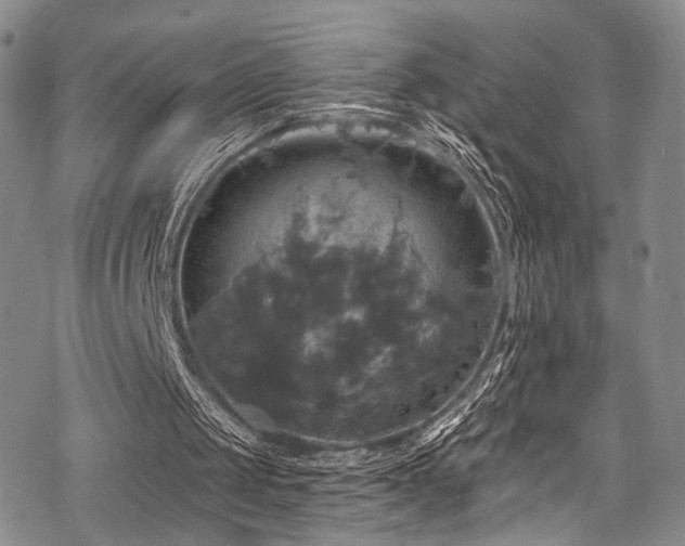 X0000068840049200605051312