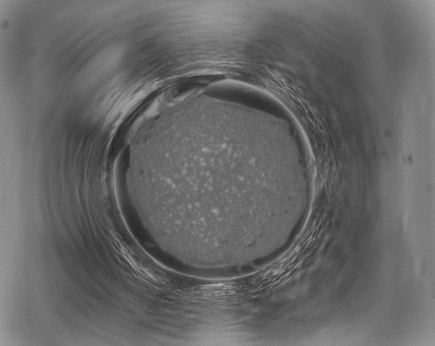 X0000068840050200605051312