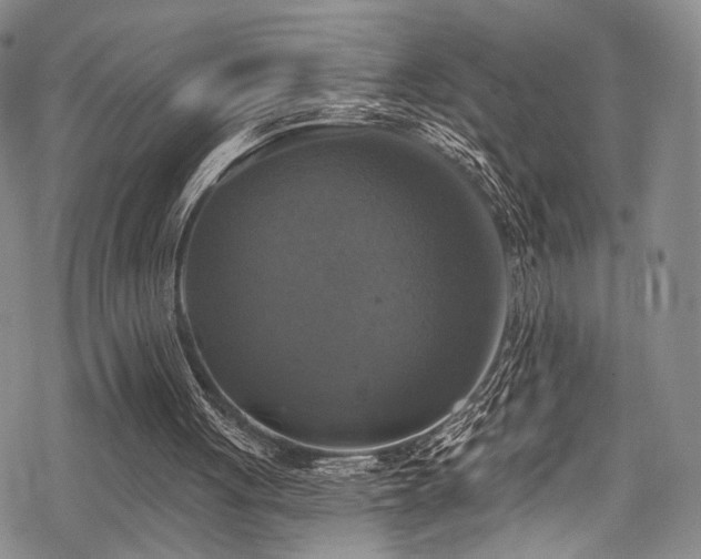 X0000068840051200605051312