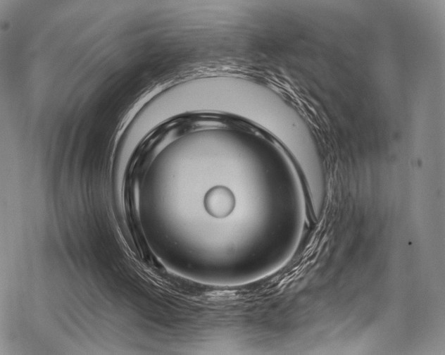 X0000068840052200605051312