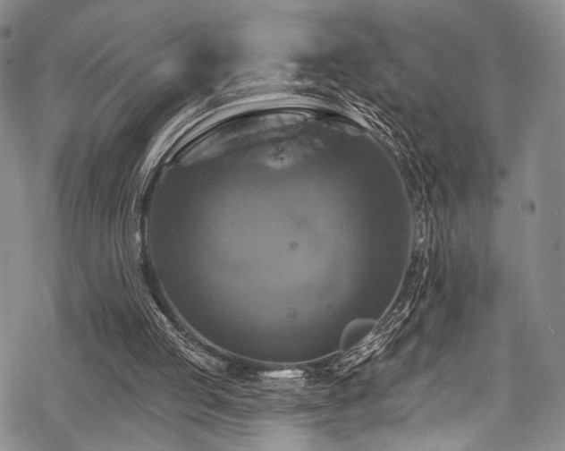 X0000068840053200605051312