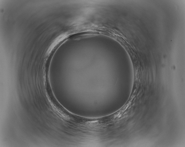 X0000068840054200605051312