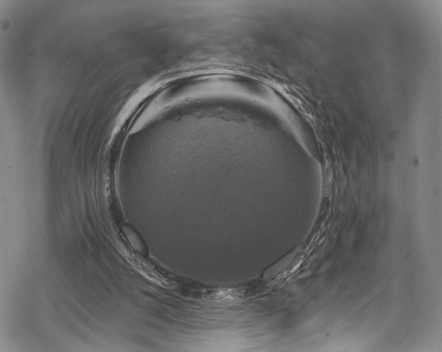 X0000068840056200605051312