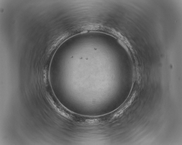 X0000068840057200605051312