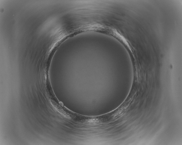 X0000068840059200605051312