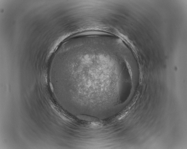 X0000068840060200605051312