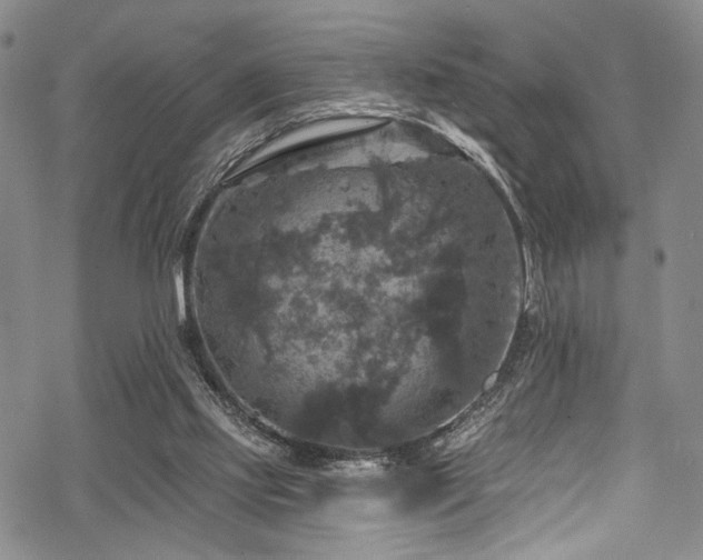 X0000068840061200605051312