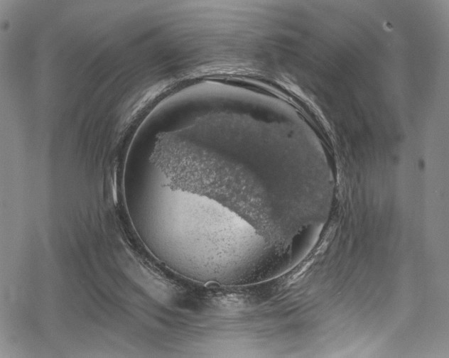 X0000068840062200605051312