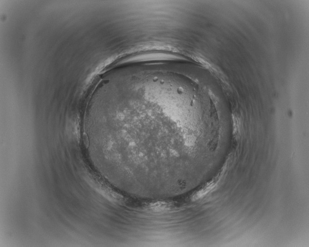 X0000068840064200605051312