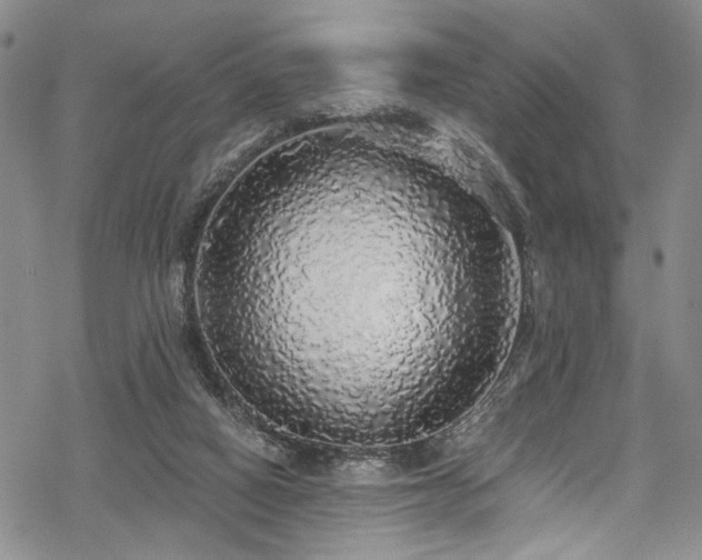 X0000068840066200605051312