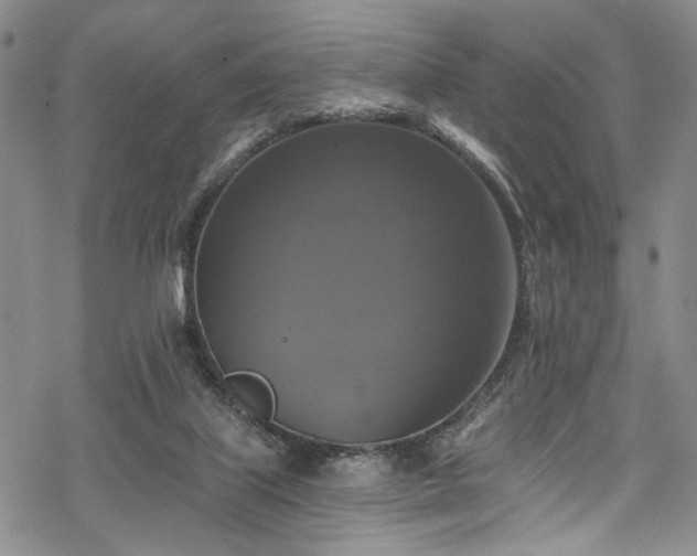 X0000068840067200605051312