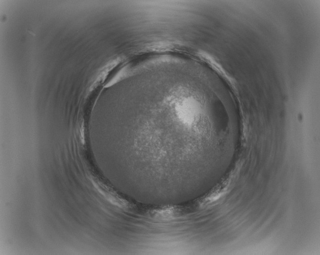 X0000068840068200605051312