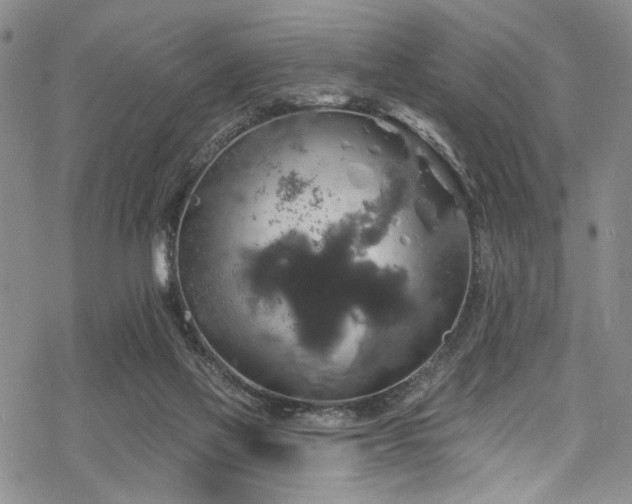 X0000068840069200605051312