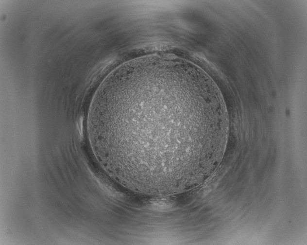 X0000068840070200605051312