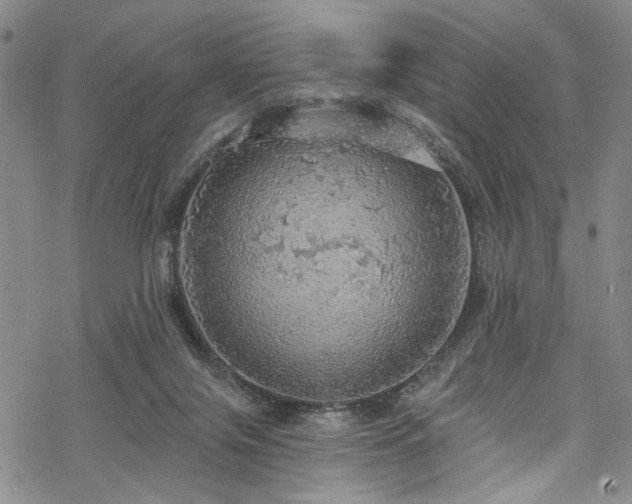 X0000068840071200605051312