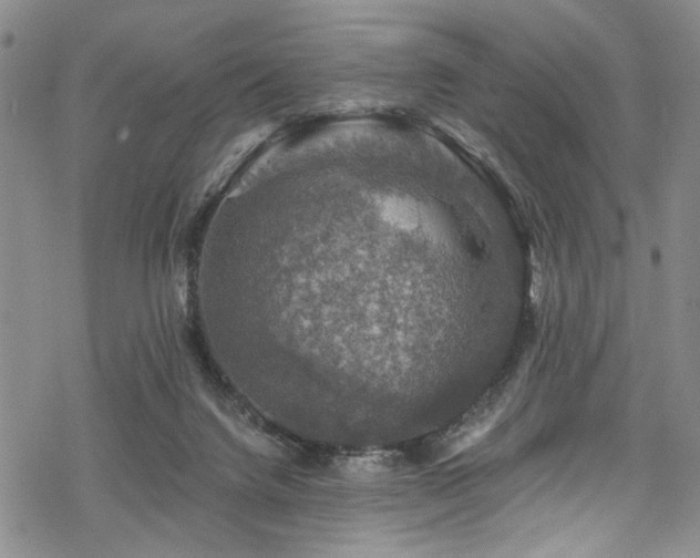 X0000068840072200605051312