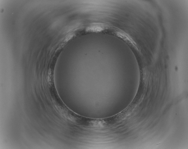 X0000068840073200605051312