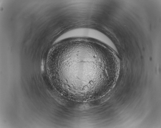 X0000068840075200605051312