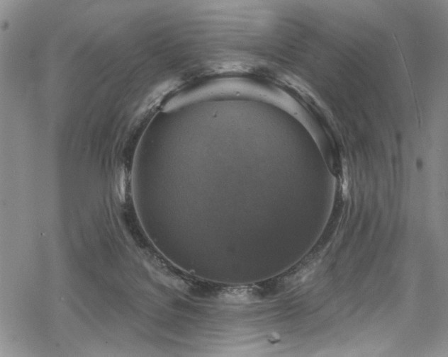 X0000068840076200605051312