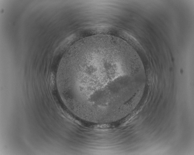 X0000068840077200605051312