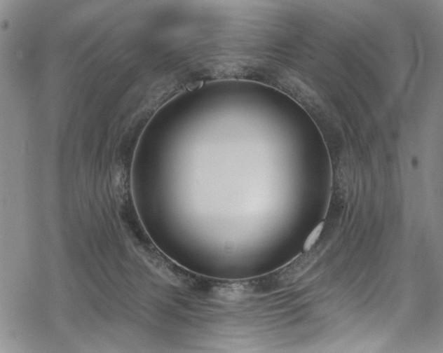 X0000068840079200605051312