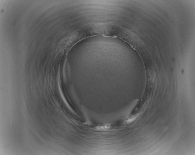 X0000068840080200605051312