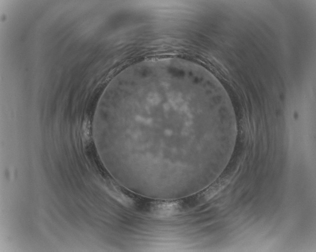 X0000068840081200605051312