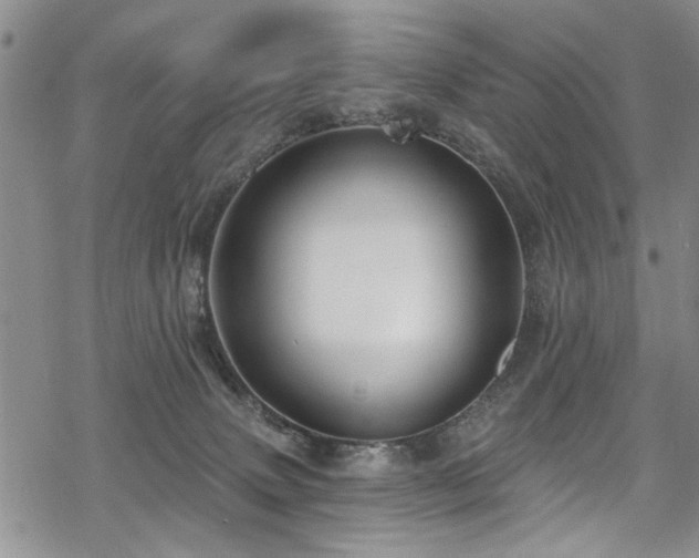 X0000068840083200605051312