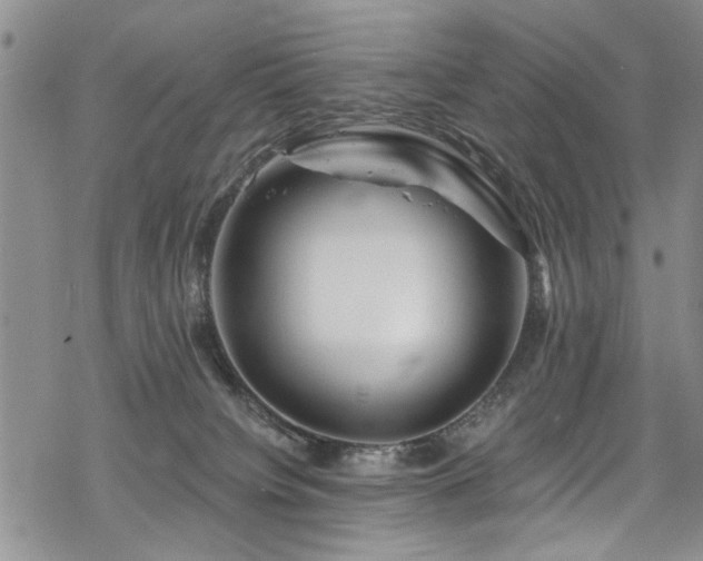 X0000068840084200605051312