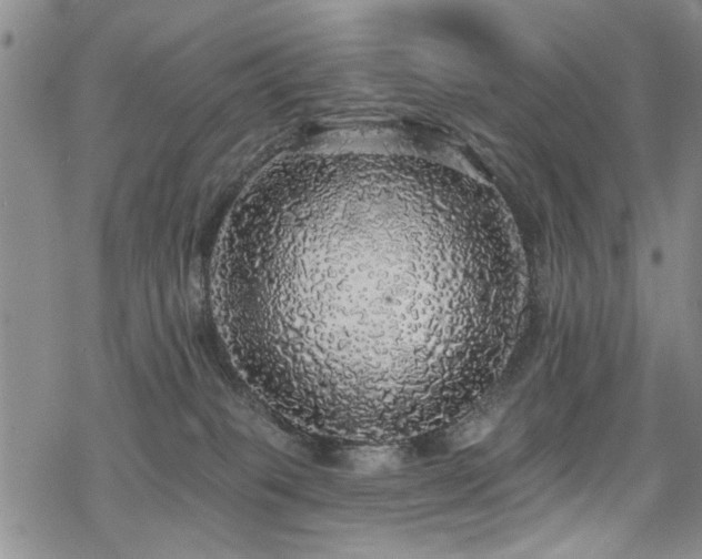 X0000068840085200605051312