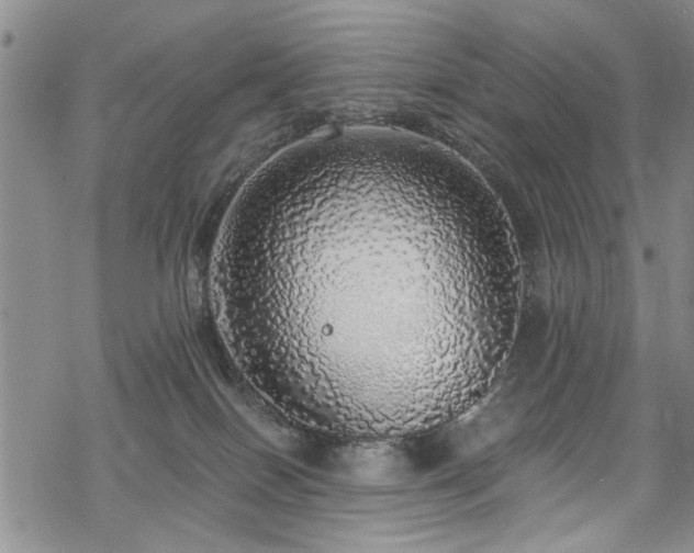 X0000068840086200605051312