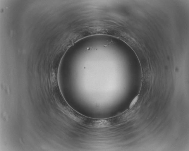 X0000068840087200605051312