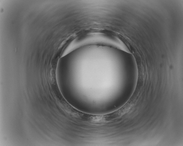 X0000068840088200605051313