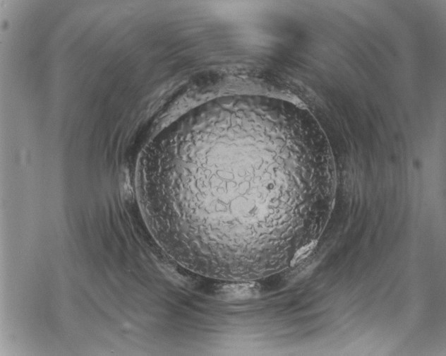 X0000068840089200605051313