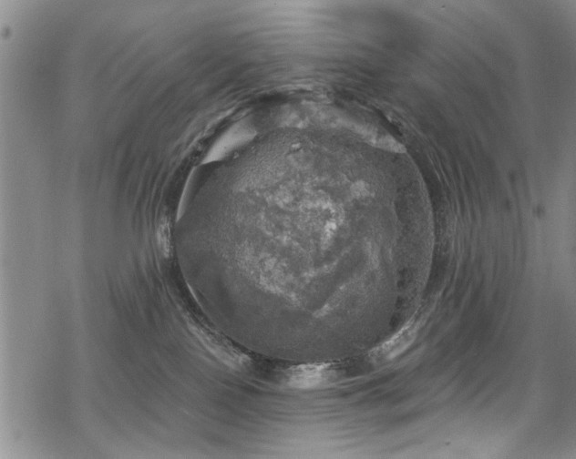 X0000068840090200605051313