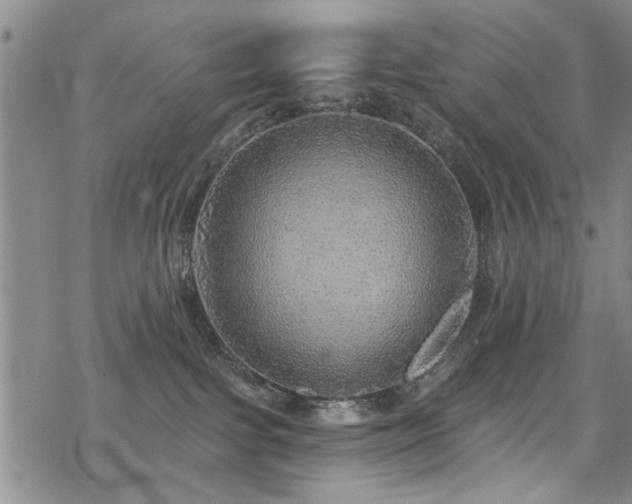 X0000068840091200605051313