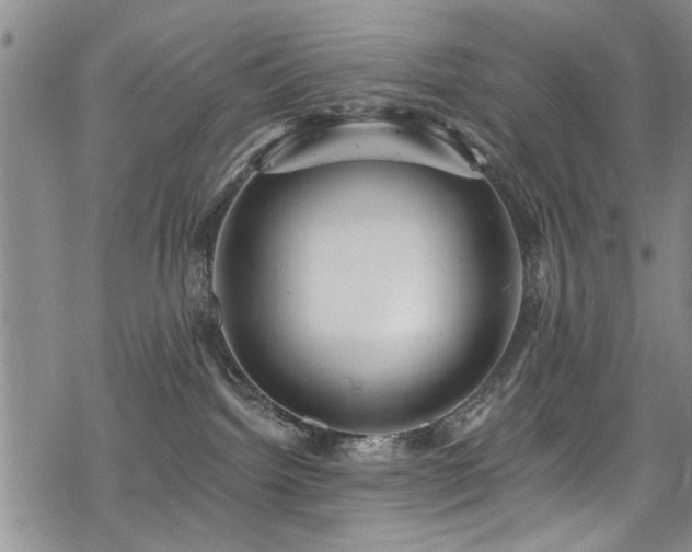 X0000068840092200605051313