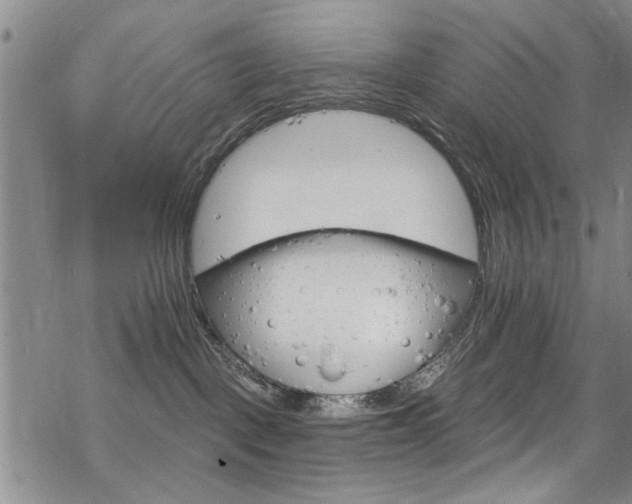 X0000068840093200605051313