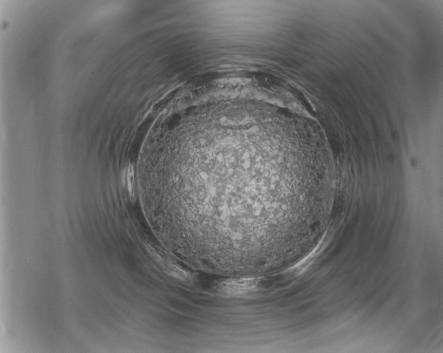 X0000068840094200605051313